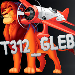 Аватар t312_Gleb