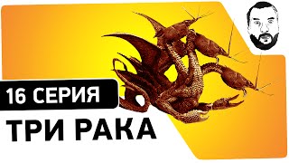 Превью: №16 - Стрим-шоу &quot;Уничтожь Три Рака!&quot; [20-00МСК]