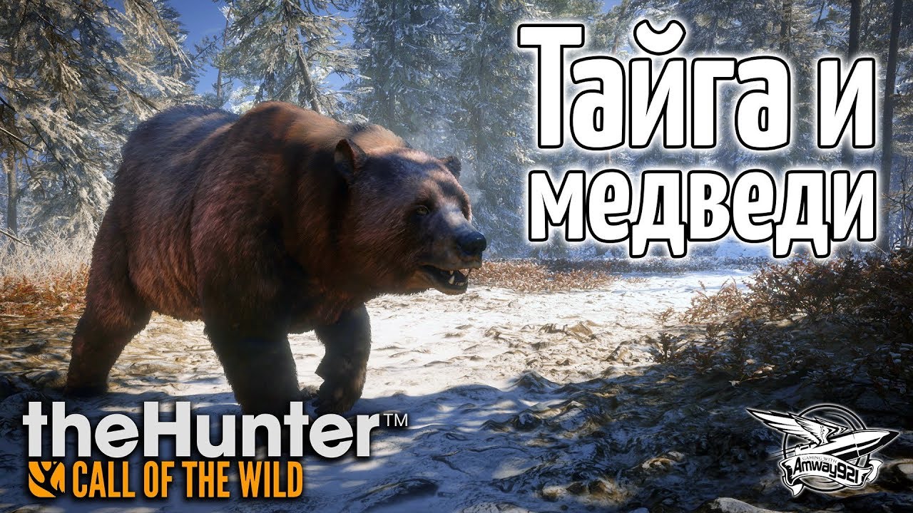 Стрим - theHunter Call of the Wild - Тайга и медведи - Новое DLC