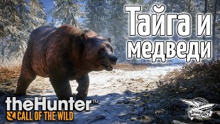 Превью: Стрим - theHunter Call of the Wild - Тайга и медведи - Новое DLC