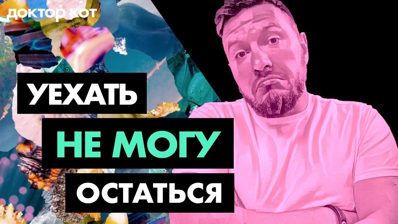 Уезжать или оставаться, возвращаться или терпеть — Моральные тяготы релокации — Доктор Кот