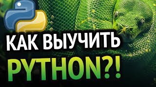 Превью: Как выучить Python? Самый аху#### способ!