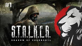 Превью: Cake в Stalker: Тень Чернобыля. Нарезка #1