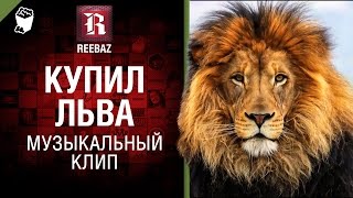 Превью: Купил льва - Музыкальный клип от REEBAZ