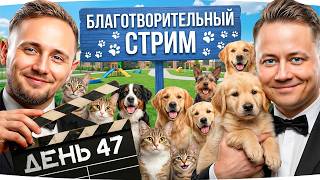 Превью: БЛАГОТВОРИТЕЛЬНЫЙ СТРИМ — ПОМОГАЕМ ПРИЮТУ ЖИВОТНЫХ ● Марафон Джова и Инспа [День 47]