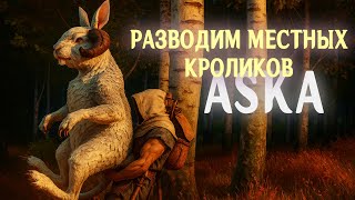 Превью: ASKA - Всякая живность #9