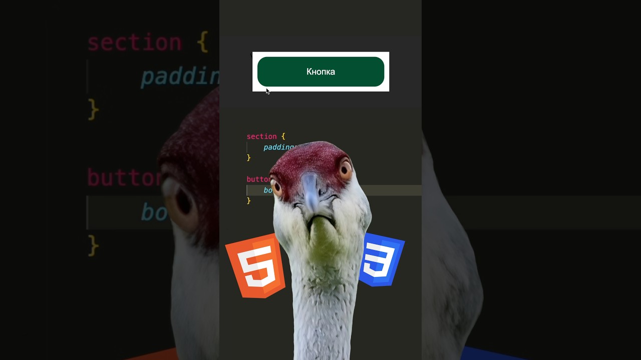 ☑️ Добавляй в закладки! Как правильно скруглять углы? #html #js #css #frontend #coding #it