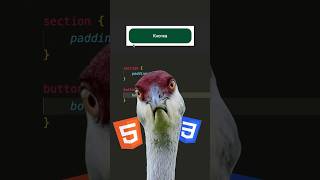 Превью: ☑️ Добавляй в закладки! Как правильно скруглять углы? #html #js #css #frontend #coding #it