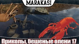 Превью: Приколы, бешеные олени и раки, самые неадекватные игроки 17