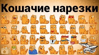 Превью: Кошачие нарезки. Выпуск очередной +1