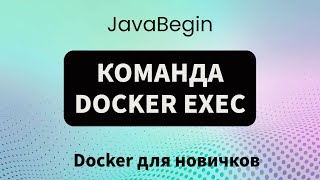 Превью: Основы Docker: команда docker exec (2023)