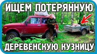 Превью: НАЧАЛИ ВЫВОЗИТЬ ДЕНЬГИ ИЗ ЛЕСА! НАШЛИ ШИКАРНЫЙ СХРОН!