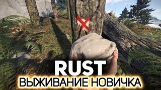 Превью: Выживание новичка 🧱 Rust [PC 2013]