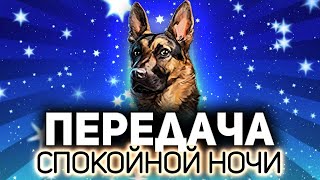 Превью: Ультра-ночная подруба 💥 Добиваем Т-34-85 Rudy