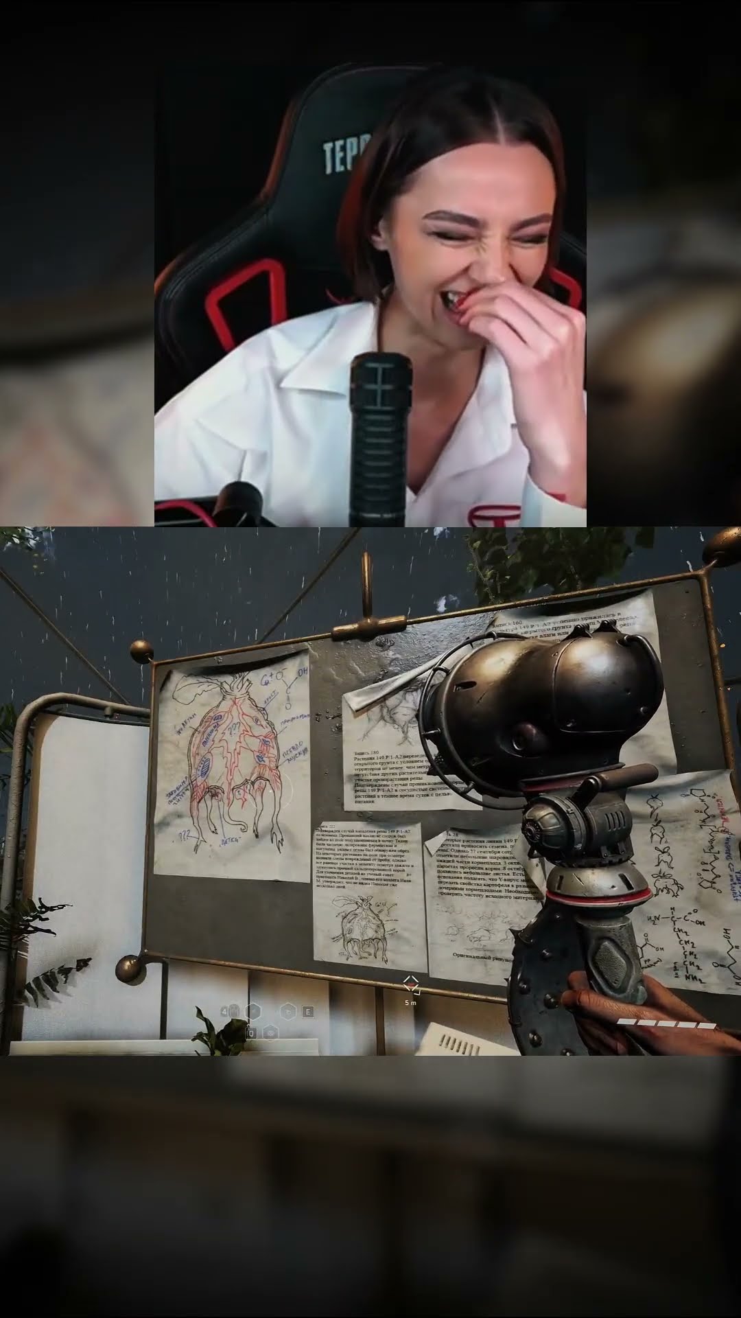 Превью: ТАМ ПРЯМ БУКВЫ😅