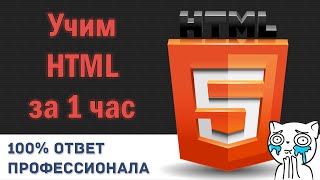 Превью: Учим HTML за 1 Час! #От Профессионала