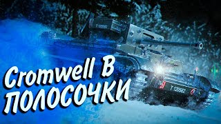 Превью: Cromwell B - ОХОТА ЗА ПОЛОСКАМИ