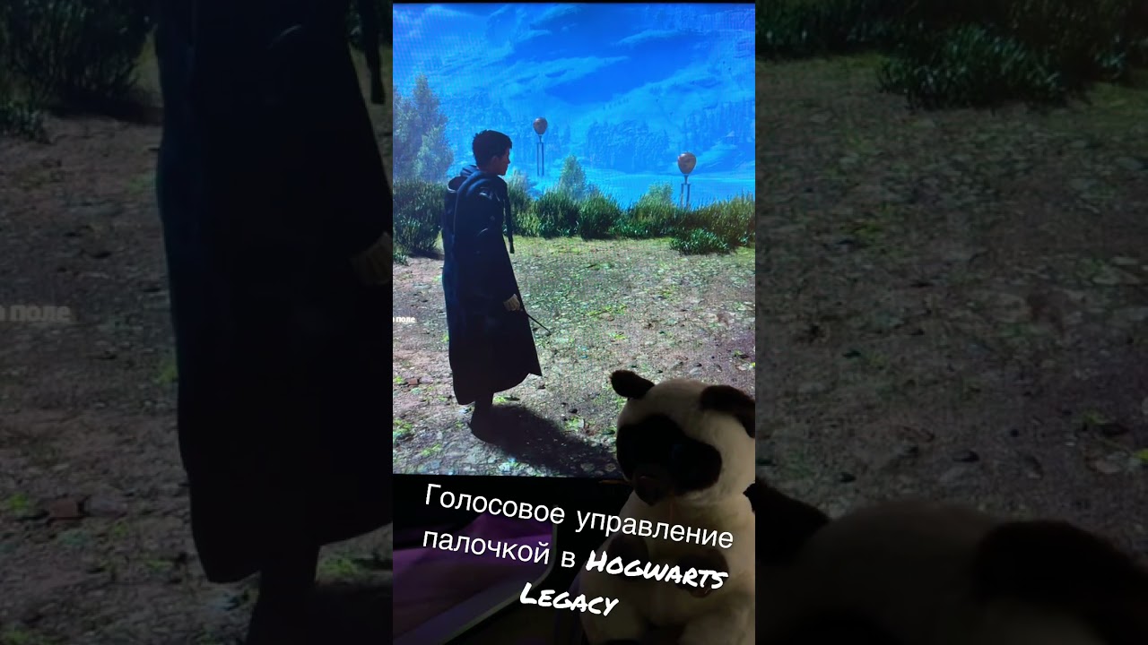 Hogwarts Legacy но управляю палочкой СВОИМ ГОЛОСОМ :3