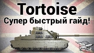 Превью: Tortoise - Супер быстрый гайд, как играть на Тортойзе