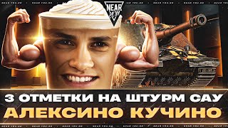 Превью: 3 ОТМЕТКИ на ШТУРМ САУ - СЕРИАЛ! В ГЛ.РОЛЯХ: АЛЕКСИНО КУЧИНИ