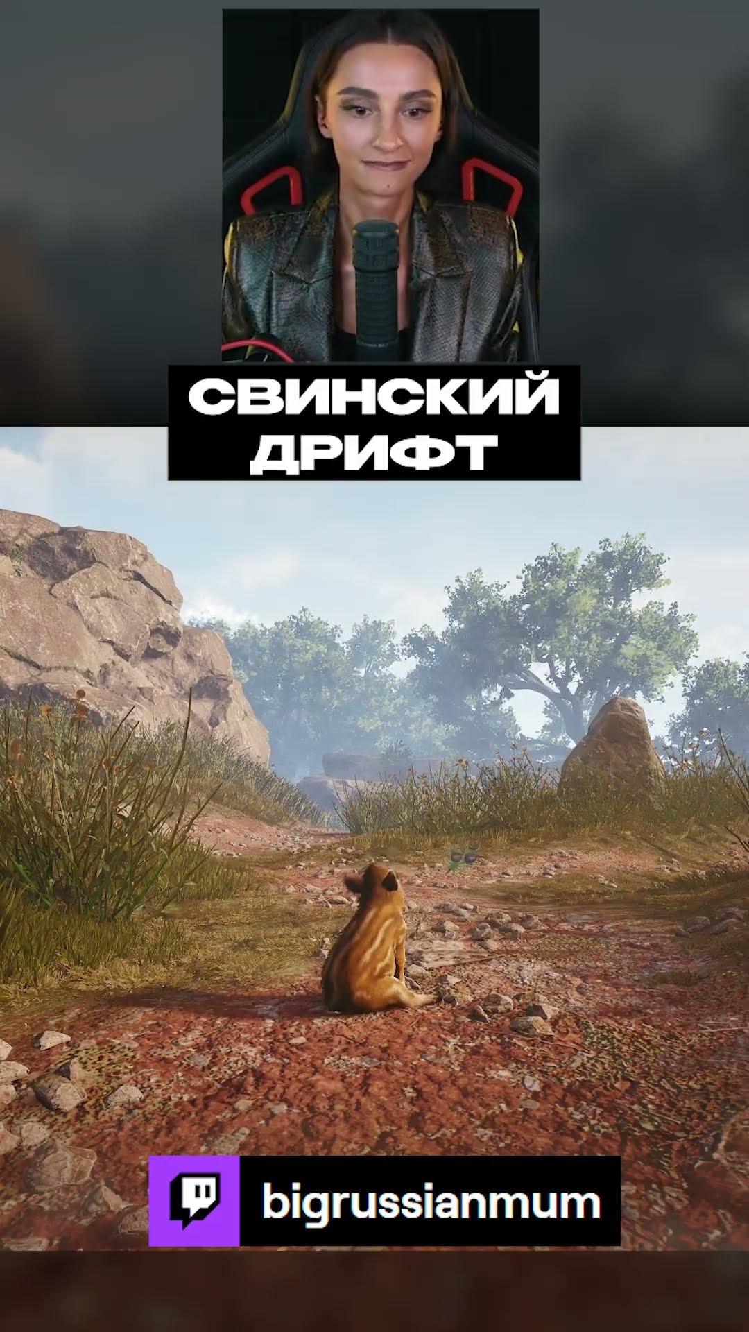 Превью: СВИНСКИЙ ДРИФТ | BRM В ADORABLE ADVENTURES #twitch #brm #adorableadventures