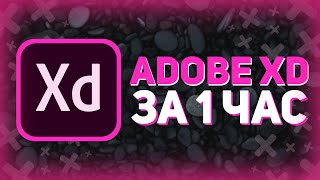 Превью: ADOBE XD ЗА 1 ЧАС *Для Разработчика // Все Уроки Adobe Xd В Одном Видео // Лучше чем Figma