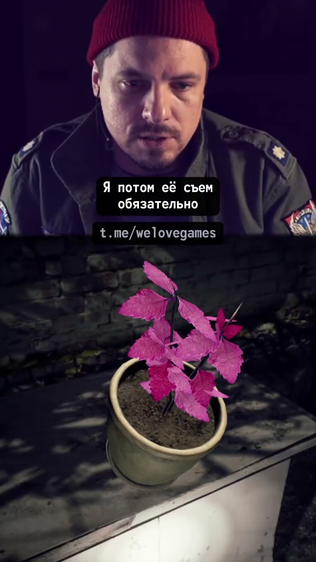 Превью: Атмосферная игра и «Сигма-лицо» #ebolavillage