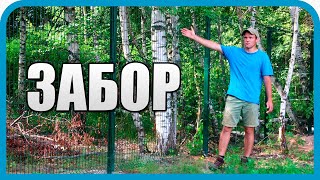 Превью: СТАВИМ ЗАБОР ИЗ 3D-СЕТКИ С КАЛИТКОЙ И ВОРОТАМИ