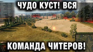 Превью: ЧУДО КУСТ! ВСЯ КОМАНДА ЧИТЕРОВ! ИГРОК РЕАЛЬНО УДИВИЛ!