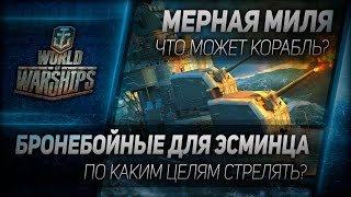 Превью: Мерная миля #27: Бронебойные для эсминца - по каким целям стрелять?