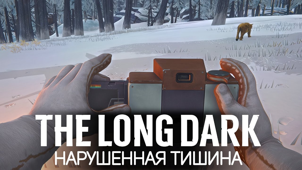 Идём за фотоаппаратом. Хищники, бойтесь 🦆 The Long Dark [PC 2014] #21