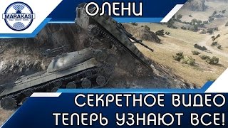 Превью: СЕКРЕТНОЕ ВИДЕО С ОЛЕНЯМИ, ПУСКАЙ ВСЕ УЗНАЮТ ЧТО ОНИ СДЕЛАЛИ!