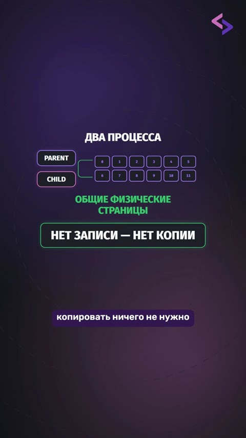 Превью: Почему fork() большого процесса бывает дешёвым?