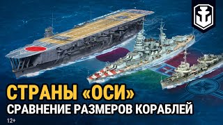 Превью: Сравнение размеров кораблей. Страны «оси» | World of Warships