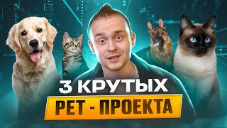 Превью: 3 крутых pet-проекта / Что интересно собеседующим