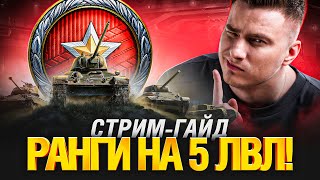 Превью: Ранговые Бои на 5 Уровнях - На Чем Играть?