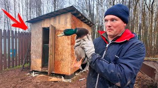 Превью: СОСЕДИ В УЖАСЕ! БЛОГЕР СНОВА ЧТО-ТО СТРОИТ...