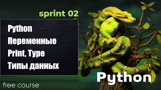 Превью: Python переменные, вывод, типы данных. Python 2023 - free course