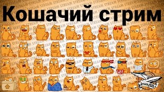 Превью: Стрим - Кошачий