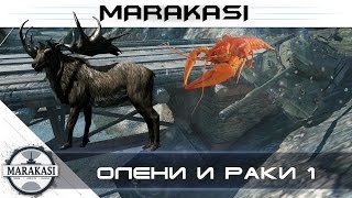 Превью: Приколы, олени и раки, смешно до слез 1 - 0.9.8