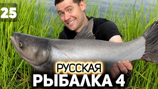 Превью: Толстолобик VS Профессионала. Река Сура 🐟 Русская Рыбалка 4 [PC 2018] #25