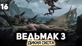 Превью: Прибываем на Скеллиге ⚔️ Ведьмак 3: Дикая Охота [PC 2022] #16