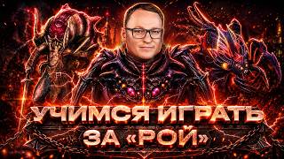 Превью: ВУДУШ УЧИТЬСЯ ИГРАТЬ ЗА "РОЙ" | ЖУКИ АТАКУЮТ | OLDEN ERA | 04.06.2026