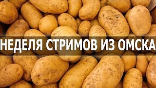 Превью: mozol6ka | Неделя стримов из Омска / День 2