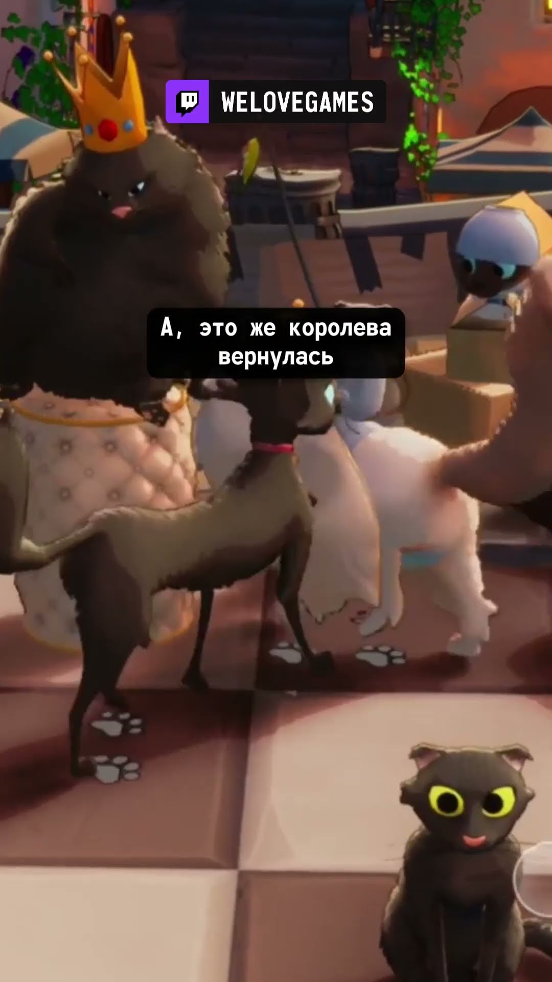 Превью: Кошачьи шахматы #catchess