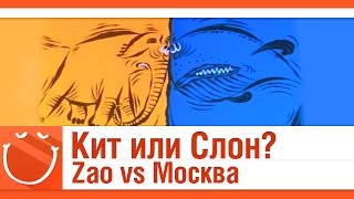 Превью: Кит или Слон? Москва vs Zao