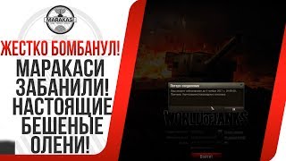 Превью: МАРАКАСИ ЗАБАНИЛИ! НАСТОЯЩИЕ БЕШЕНЫЕ ОЛЕНИ!