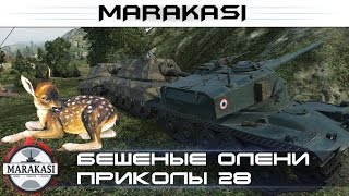 Превью: Приколы, бешеные олени 28 а кто сказал что им бан дадут?