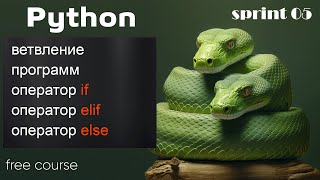 Превью: Ветвление в Python. Операторы if, elif, else - на примерах