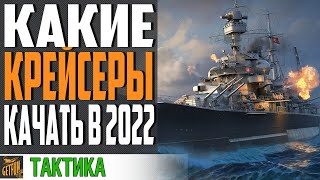 Превью: ОБЗОР ВЕТОК КРЕЙСЕРОВ! 👍 КАКИЕ КРЕЙСЕРЫ ЛУЧШЕ КАЧАТЬ ⚓ World of Warships